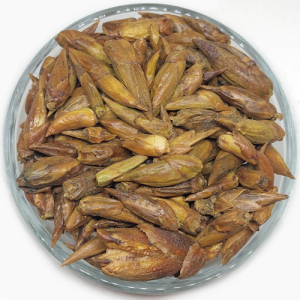 Pupoljci topole eko (Populus nigra) 100 g