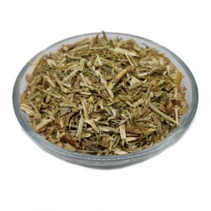 Izop (Hyssopus officinalis)