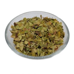 Medvjetka (uva ursi) 100 g