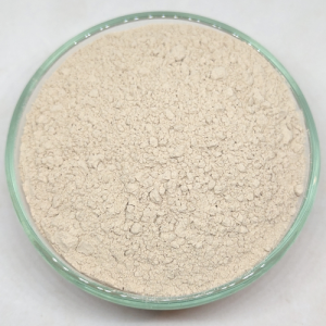 Divlji jam/yam (Dioscorea villosa) korijen u prahu