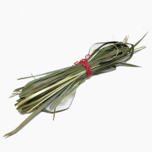 Slatka, sveta ili bizonska trava – žubrovka (Hierochloe odorata) 25 g