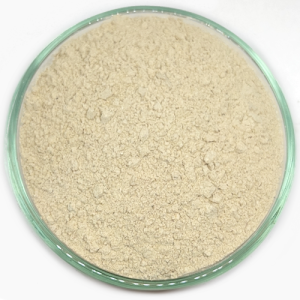 Crna maca (Lepidium meyenii) iz eko uzgoja u prahu 200 g