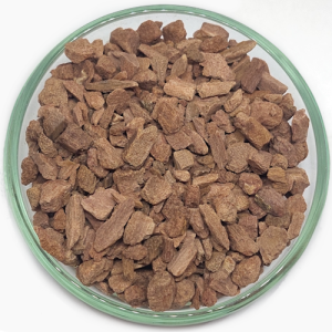 Chuchuhuasi – “brazilski ginseng” (Maytenus macrocarpa) 100 g