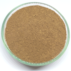 Reishi gljiva u prahu – Ganoderma sichuanese iz eko uzgoja u prahu 120 g
