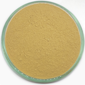 Crveni panax ginseng (Panax Ginseng) prah